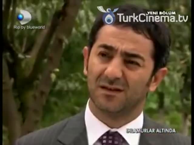 Под сенью лип 46 серия