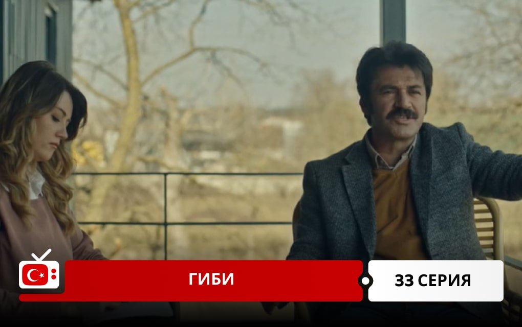 Гиби 33 серия