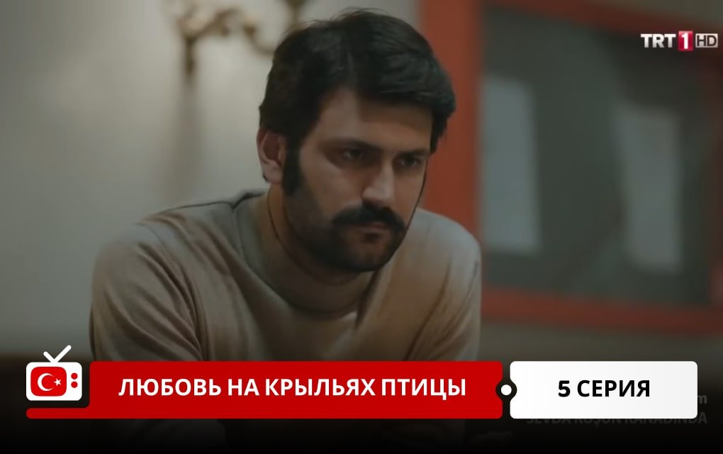 Любовь на крыльях птицы 5 серия