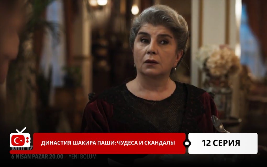 Династия Шакира Паши: Чудеса и Скандалы 12 серия