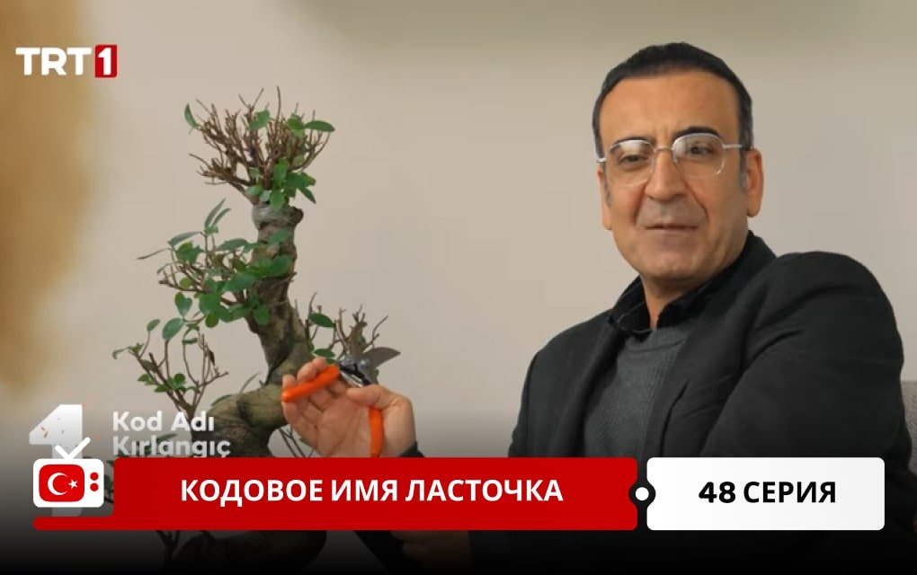 Кодовое имя Ласточка 48 серия