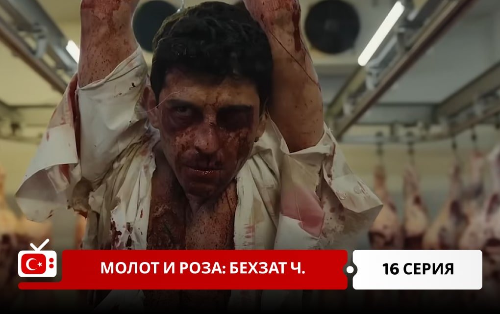 Молот и роза: Бехзат Ч. 16 серия