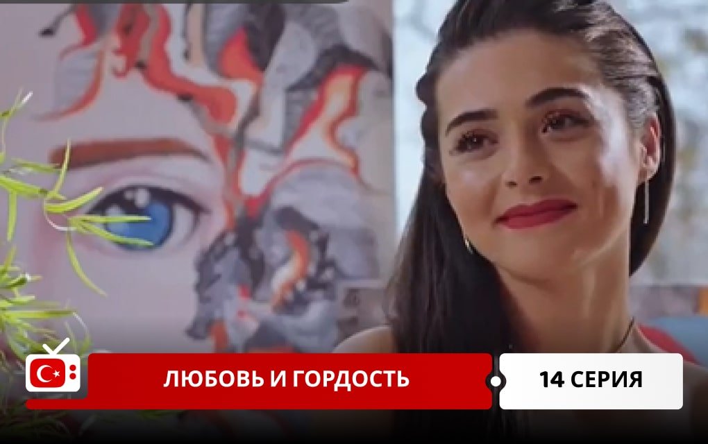 Любовь и Гордость 14 серия