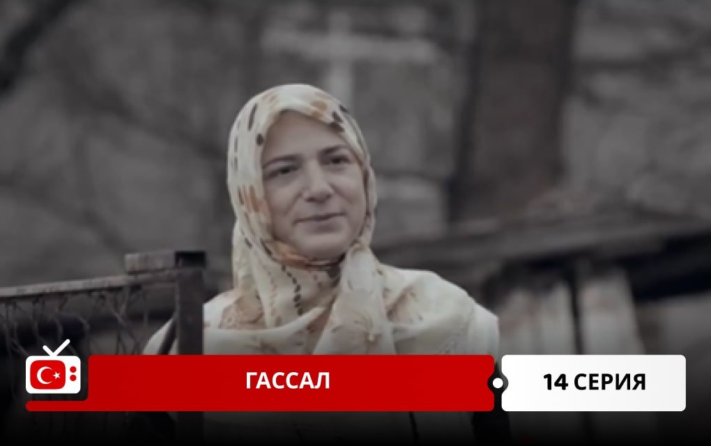 Гассал 14 серия
