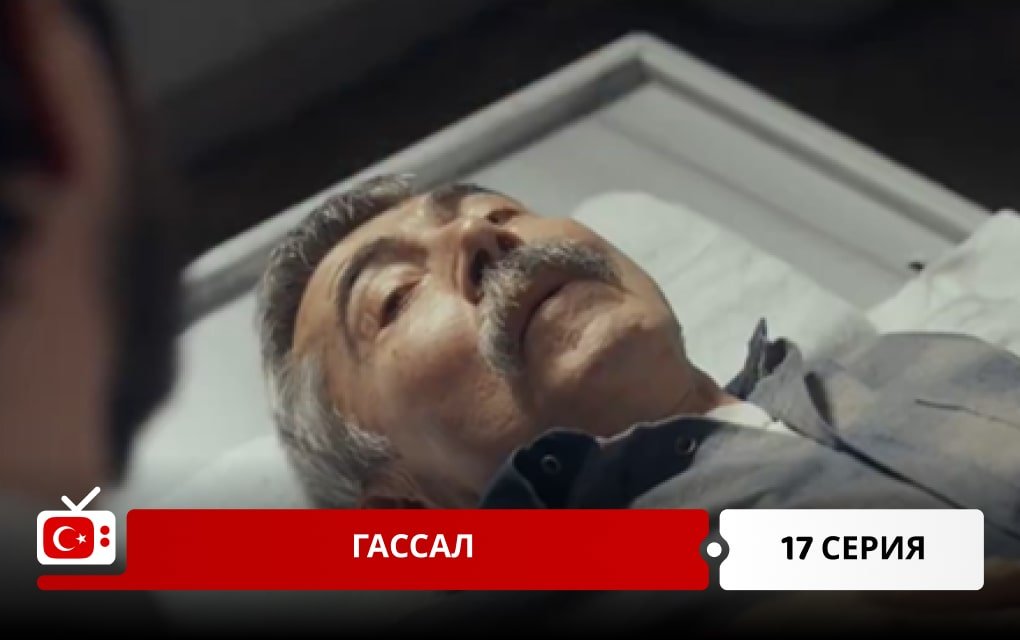 Гассал 17 серия