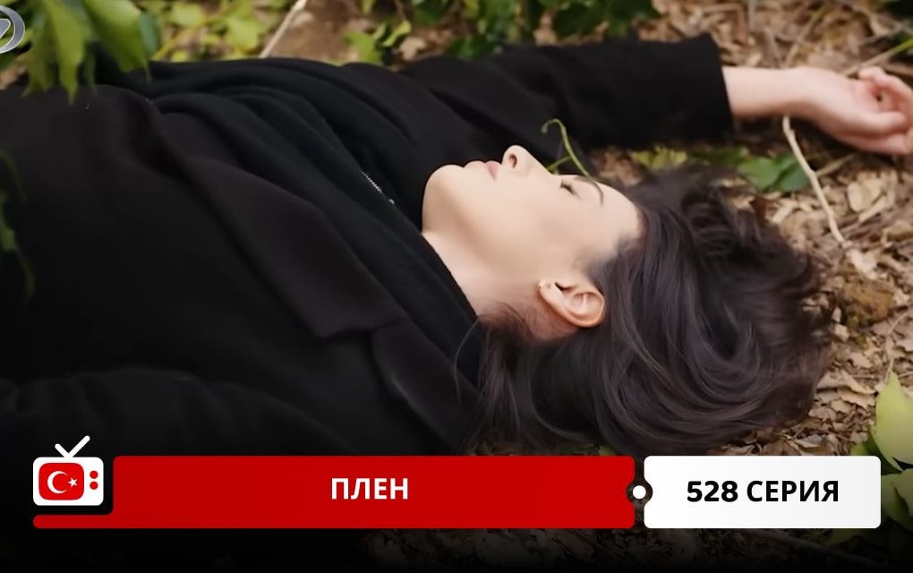 Плен 528 серия