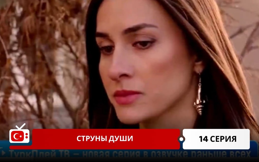 Струны души 14 серия
